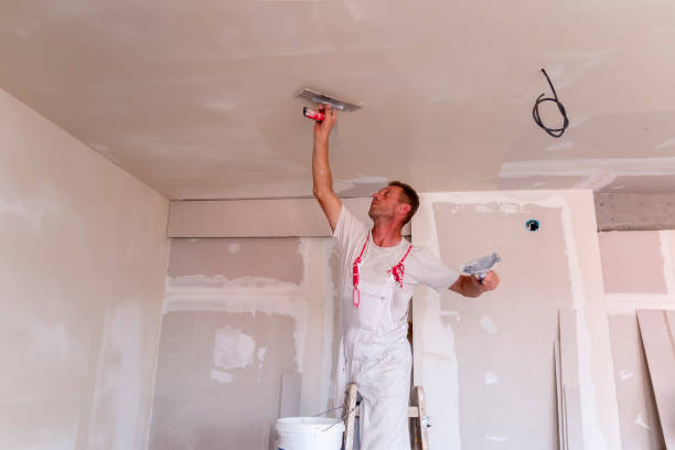 Best Drywall Removal and Disposal  in Llender, CA